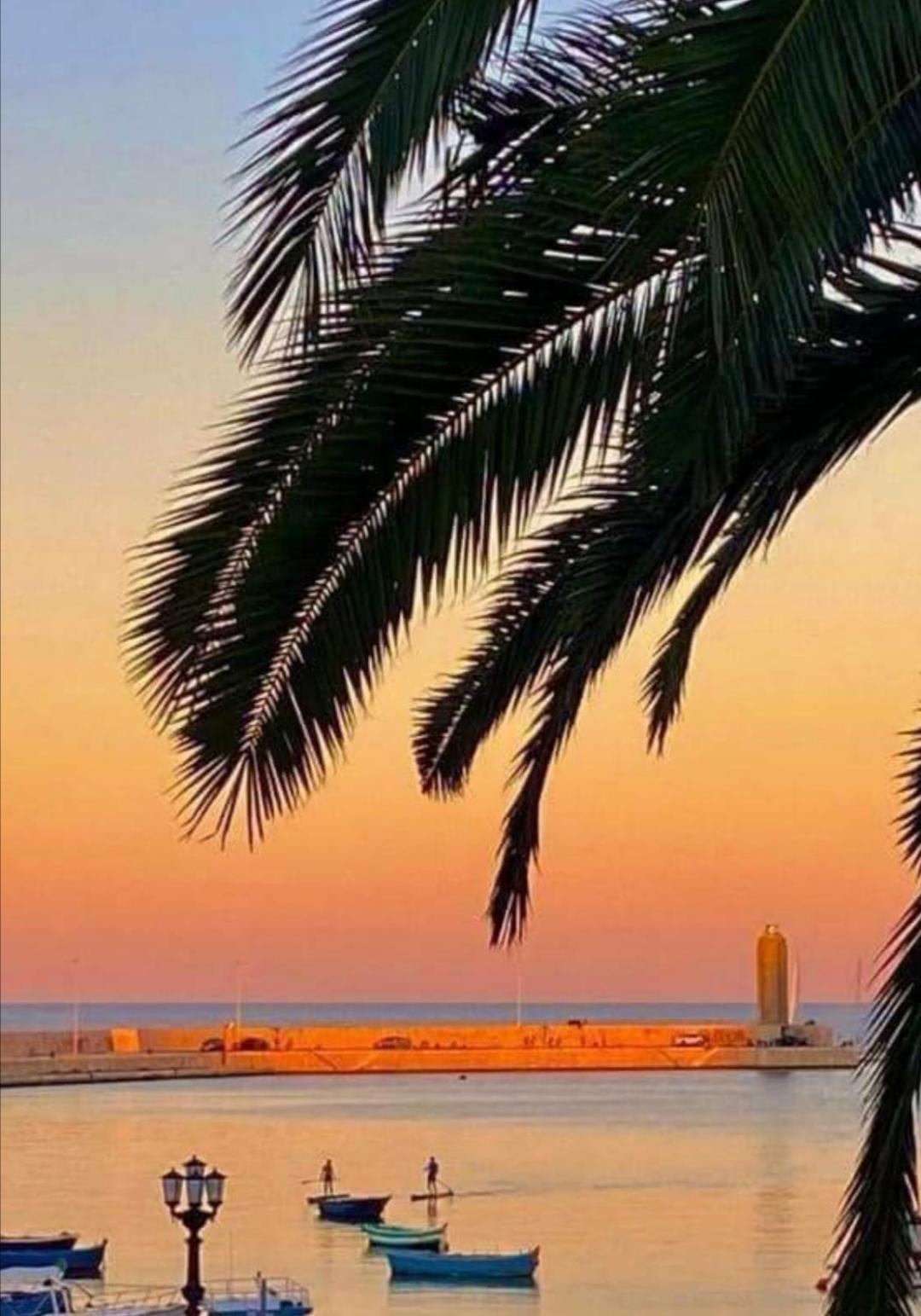 Summer Paradise Бари Номер фото